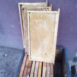 Продам сушь для пчел (230 мм)