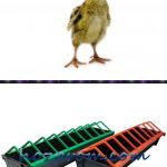 Перепелиная кормушка для взрослой птицы и цыплят